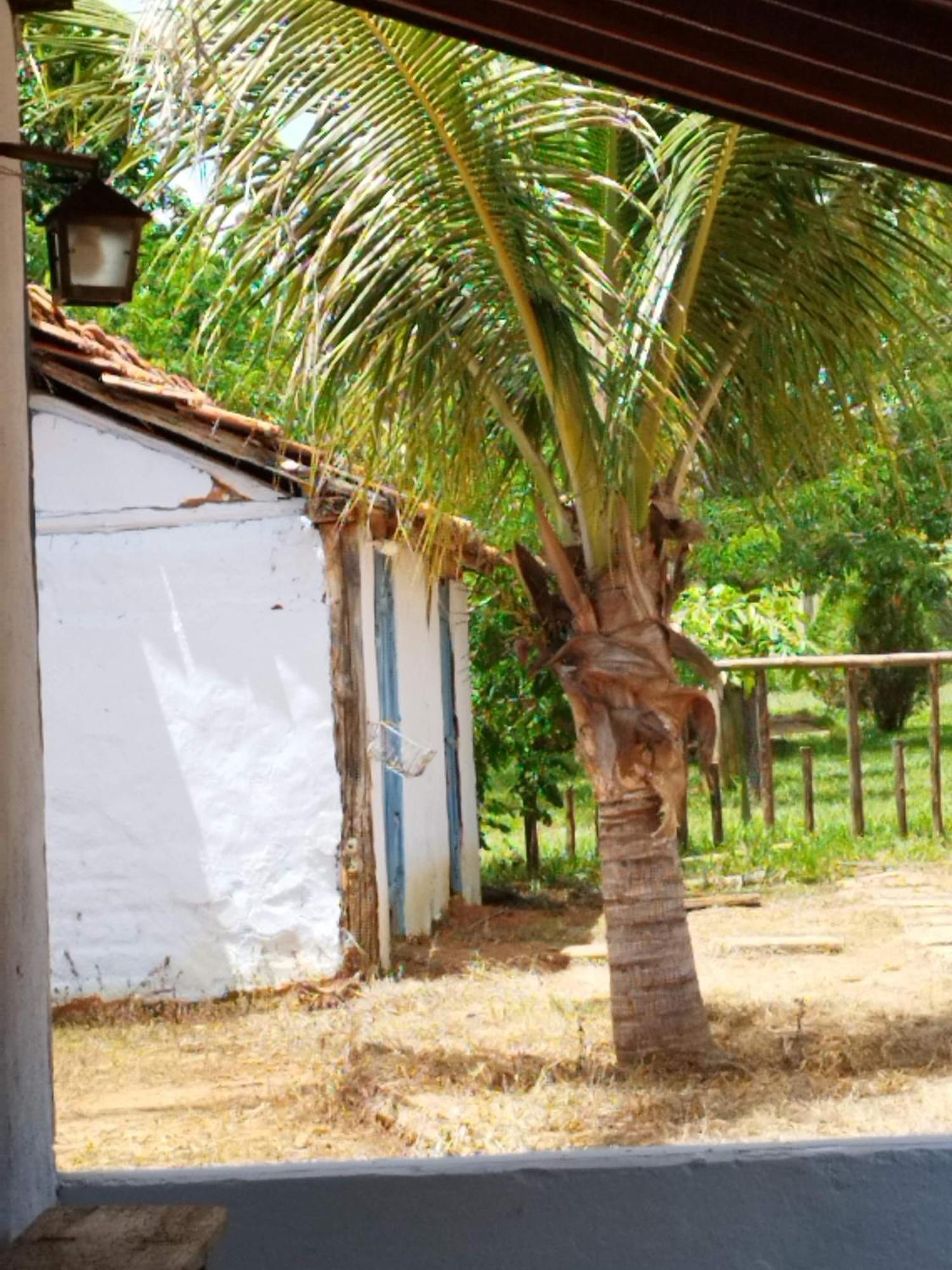 Fazenda Com Piscina E Churrasqueira Br-135 Proximo Curvelo Corinto E Morro Da Garca Eksteriør billede