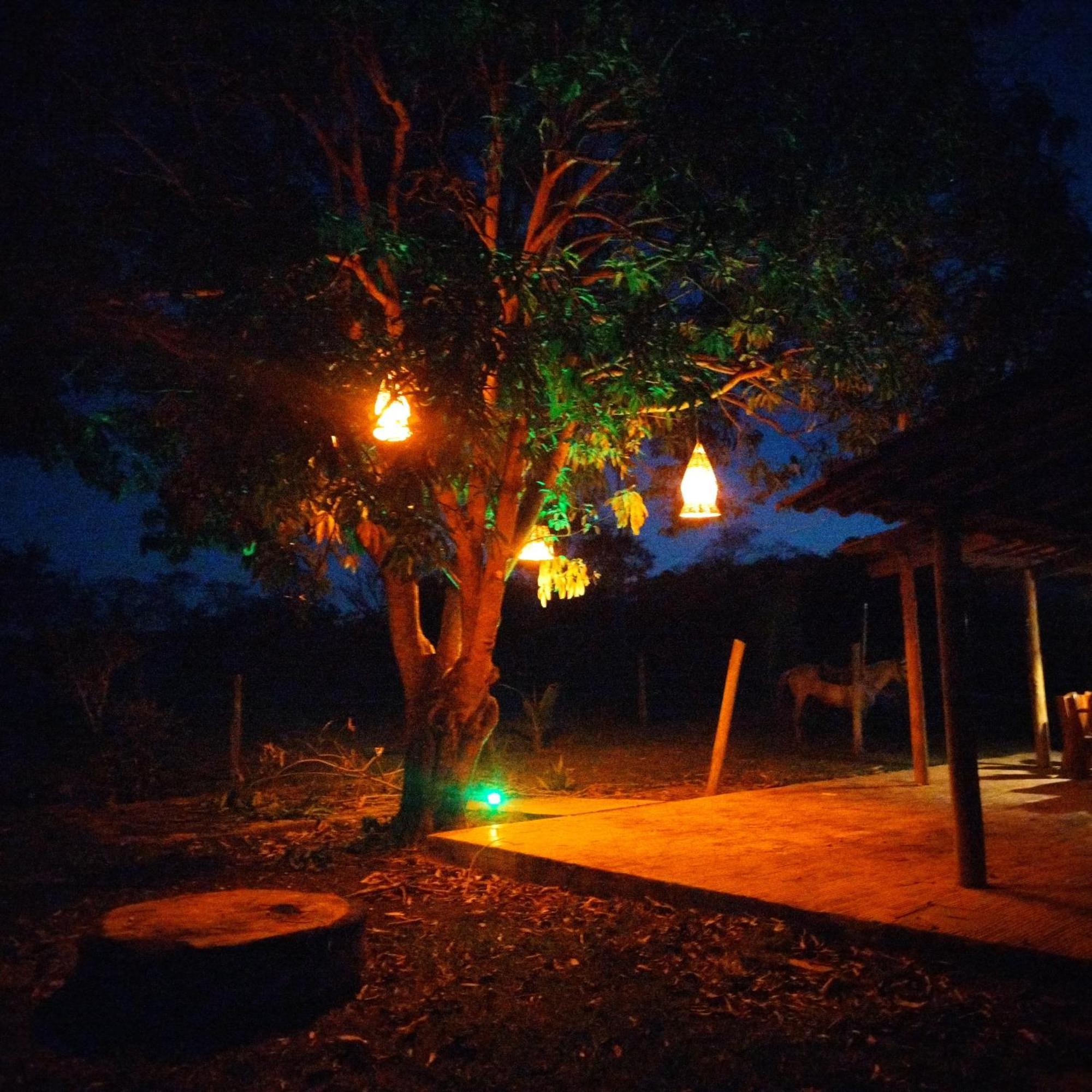 Fazenda Com Piscina E Churrasqueira Br-135 Proximo Curvelo Corinto E Morro Da Garca Eksteriør billede